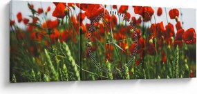 A pipacsok képe a szélben (órával) (90x30 cm)