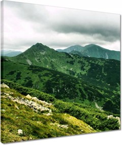 Vászonkép 40x40 Tátra Lengyel hegyek Kilátás