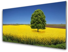 Üvegkép Fa Mező Természet Field 100x50 cm 4 fogas