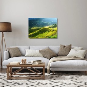 Üveg kép - Rice Terraces koncert (70x50 cm)