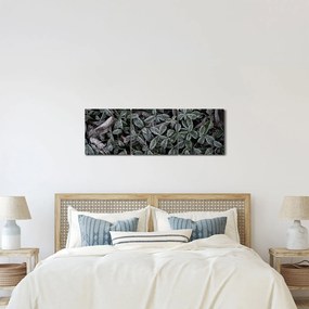 Kép - Fagyasztott növények (órával) (90x30 cm)
