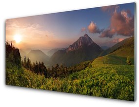 Akrilkép Mount Forest Nature 100x50 cm