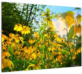 Sárga virágok képe (üvegen) (70x50 cm)