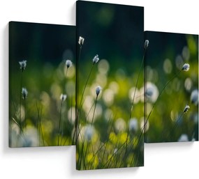 Kép - Fű (90x60 cm)