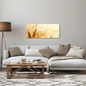 Kép - részlet gabona (120x50 cm)