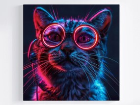 Canvas Vászonkép Portré Macska Rózsaszín Szemüveg Techno Nerd 80x80
