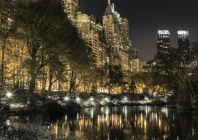 Poszter 42x29,7cm Esti kilátás a New York-i Central Parkra 5, Assaf Fra