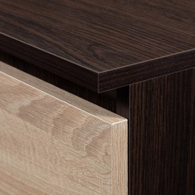 TV asztal Darian  (wenge + szonoma tölgy). Akció -13%. 1069383