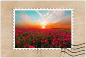 Poszter 60x40 Rózsaszín pipacsok Naplemente