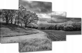 Vászonkép 130x80 Fekete-fehér mező