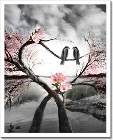 Poszterek keretben 40x50 Szerelmes találkozás Madarak