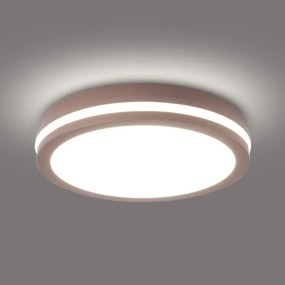 Brilagi - BENE LED kĂŒltĂ©ri mennyezeti lĂĄmpatest LED/24W/230V ĂĄtm. 26 cm barna IP54