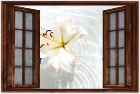 Poszterek 60x40 Virág a vízen Név