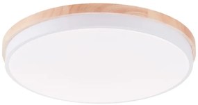 Brilliant - LED Dimmelhető mennyezeti lámpa BAARLO LED/36W/230V átm. 50 cm fehér + távirányító