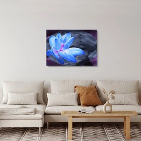 Egy virág képe részletesen (üvegen) (70x50 cm)