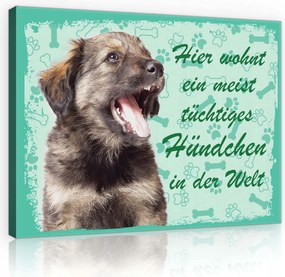 Vászonkép 80x60 Kiskutya kutyus aranyos vicces kis kedvenc csont mancsnyomok