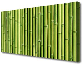 Vászonfotó Bambusz növény természet 120x60 cm