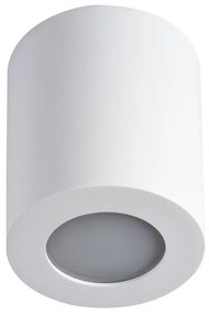 Kanlux Fürdőszobai mennyezeti lámpa SANI 1xGU10/10W/230V IP44 fehér KX0276