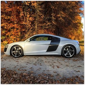 Poszterek 70x70 Őszi Audi Autó