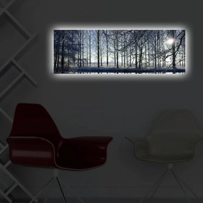 Vászonkép, 30×90 cm – 3090DACT-37