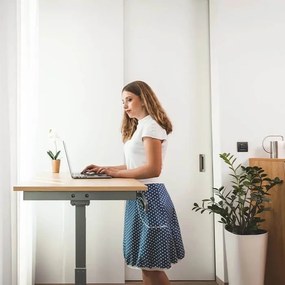 Állítható magasságú asztal Liftor Entry - Szürke