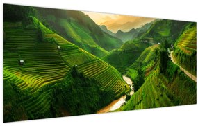 Kép - Mu Cang Chai rizsteraszok (120x50 cm)