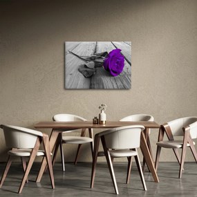 Kép - Lila rózsa zöld szárral (70x50 cm)