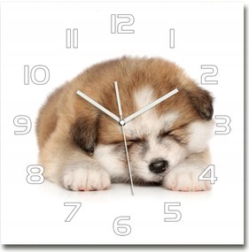 Üveg nagy lógó óra Akita kiskutya 60x60cm