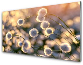 Fali üvegkép Virág növény természet 100x50 cm