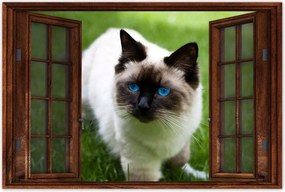 Poszterek 90x60 Pihenés a fűben