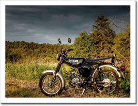 Poszterek keretben 40x30 Fekete Simson a szabadban