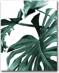 Monster Levelek poszter 40x50 cm kép #138