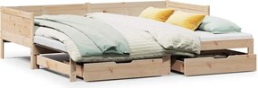 vidaXL kihúzható heverő fiókokkal matrac nélkül 90 x 190 cm