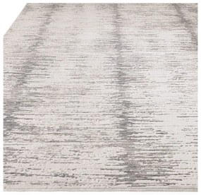 Szőnyeg 120x160 cm Anders Grey – Asiatic Carpets