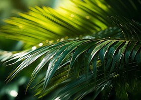 Poszter 59,4x42cm Zöld kondenzáció