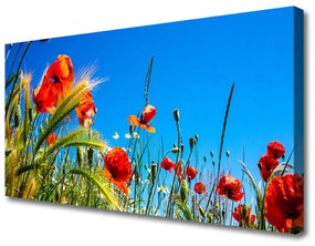 Canvas kép Pipacsok Grass Field 100x50 cm