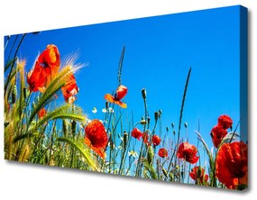Canvas kép Pipacsok Grass Field 125x50 cm