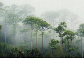 3D Fotótapéta Erdő Fák Köd Zöld Falra Hálószoba Nappali 250x175