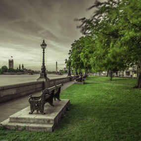 Poszter 30x30cm Pad a Temze partján lévő parkban, Assaf Frank