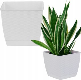 Virágtartó állvány alacsony négyzet alakú rattan 22cm virágtartó állvány