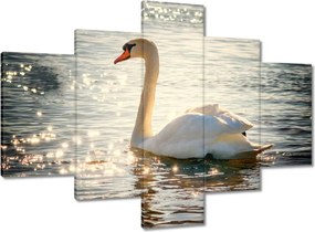 Vászonkép 100x70 Hattyú a tavon