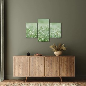 Kép - Harmat a fűben (90x60 cm)