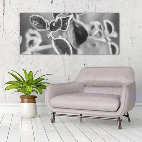 Kép - Őszi természet (120x50 cm)
