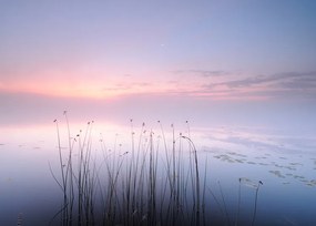 Fotográfia Lake, keller