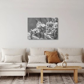 Üveg kép - Szárított virágok (70x50 cm)