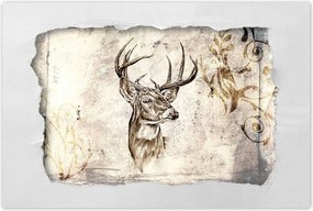Poszter 60x40 Szarvas agancsok