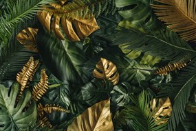 Fotótapéta Monstera Pálma levelek M01 196x260