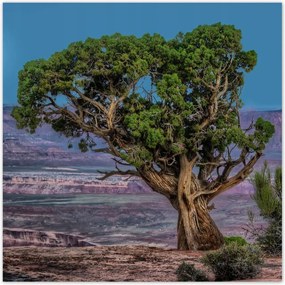 Poszterek 140x140 Kilátás Tájkép