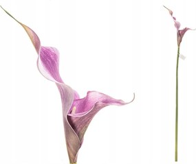 Calla művirág szimpla 68cm CH06735407LV