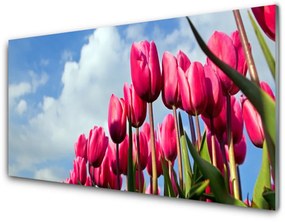 Üvegkép Tulipán Fal 100x50 cm